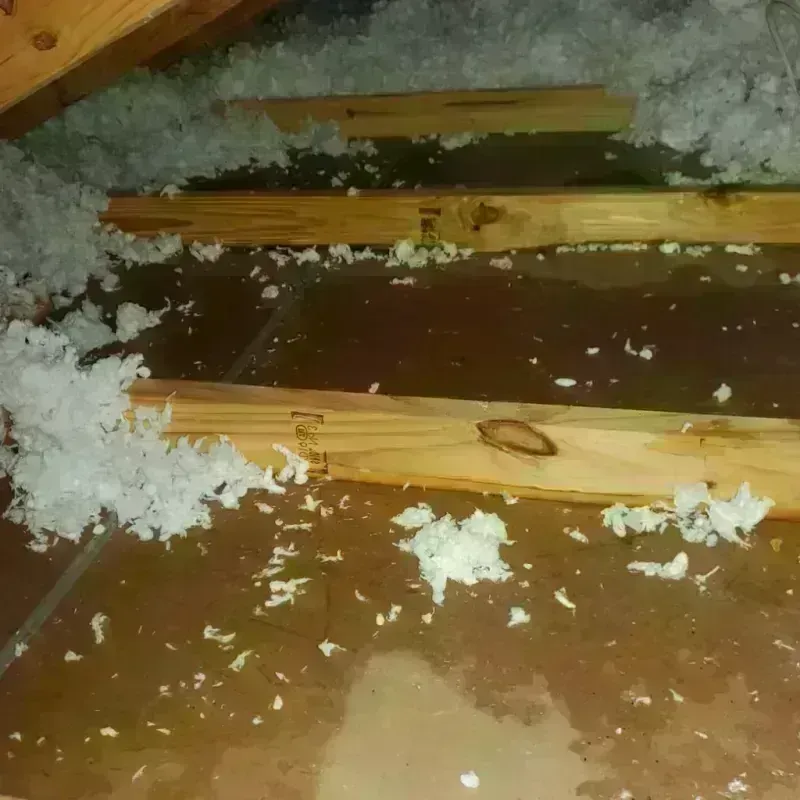 Attic Water Damage in St Johnsbury, VT